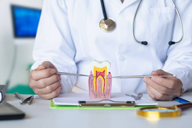 Best Knocked-Out Tooth (Avulsed Tooth) Treatment in Dinuba, CA